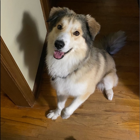 HIT THAT OFFER BUTTON!! ITEMS MUST GO!! - Picture 3 of 5